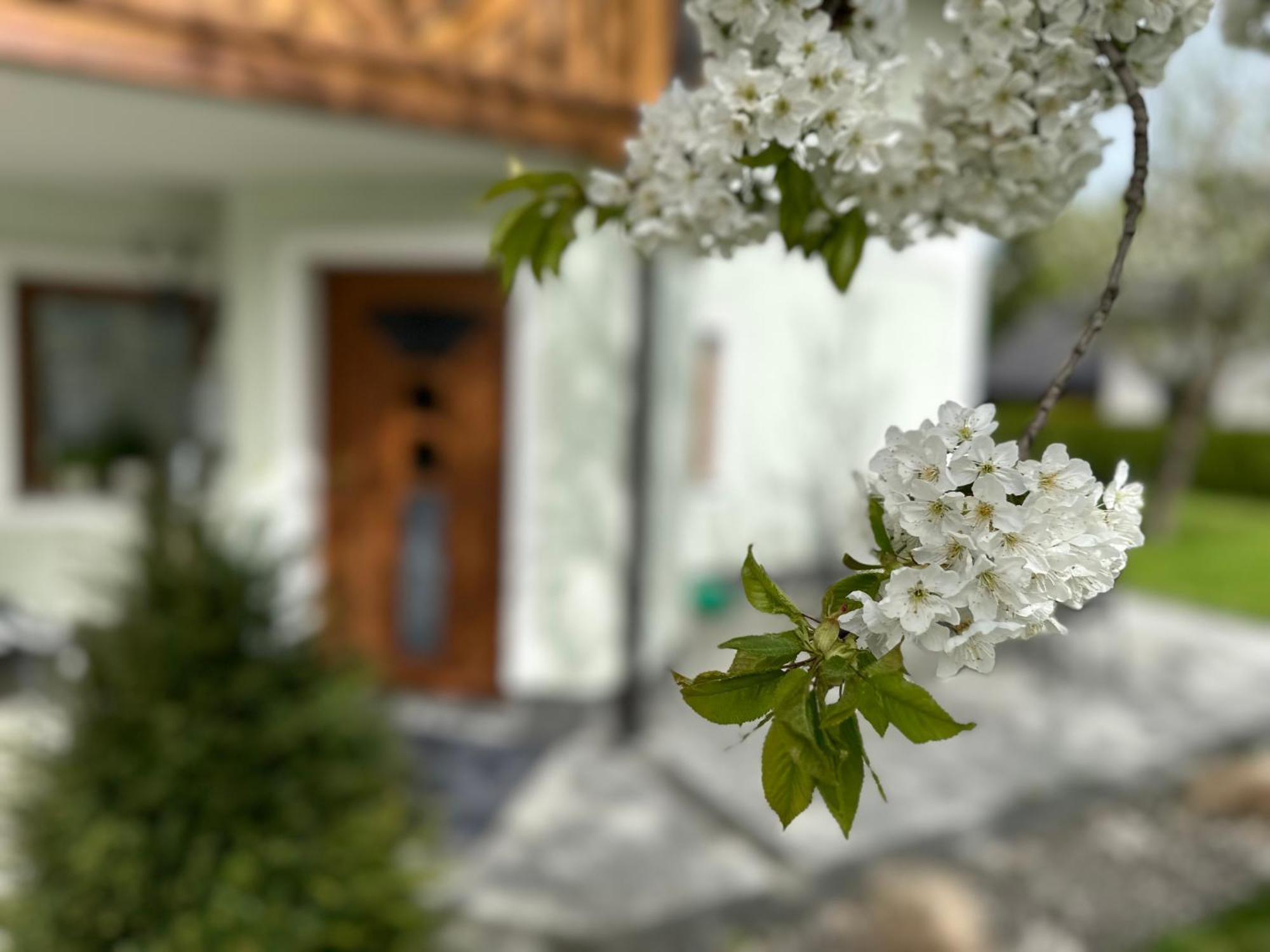 Romantic Chalet - Alpine Getaway Salzkammergut Viechtwang Esterno foto